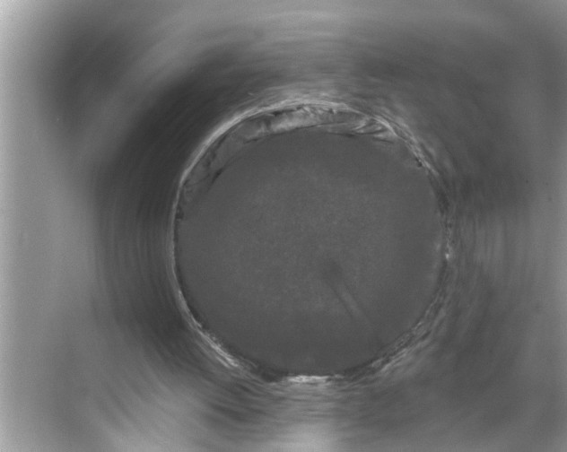 X0000068770052200605121712