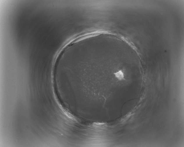 X0000068770055200605121712