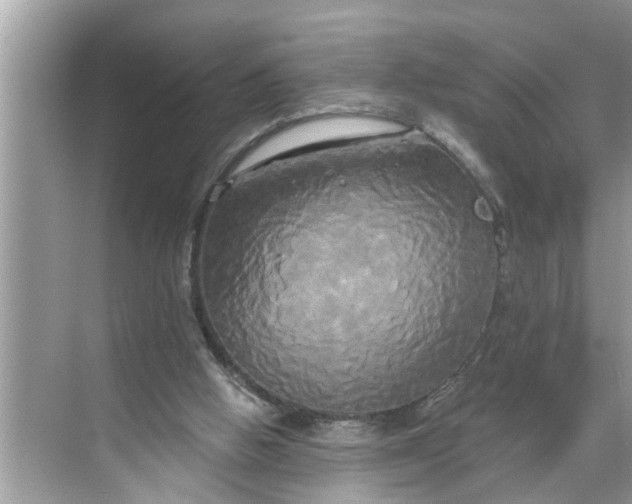 X0000068770058200605121712