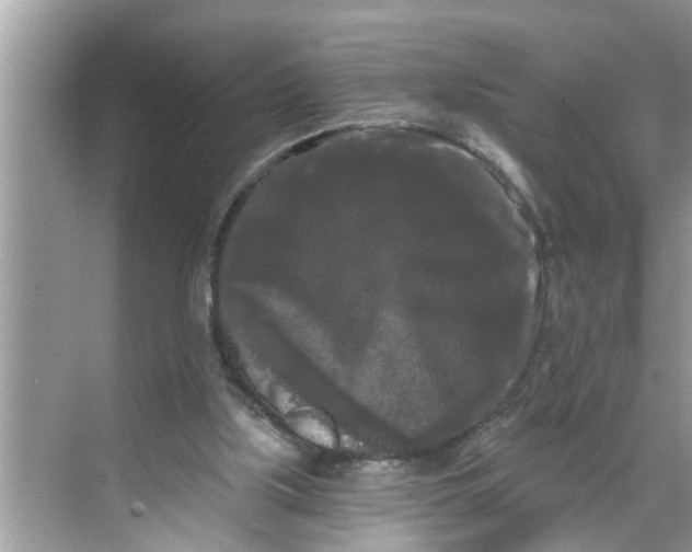 X0000068770059200605121712