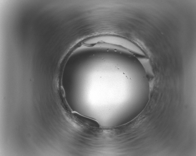 X0000068770060200605121712