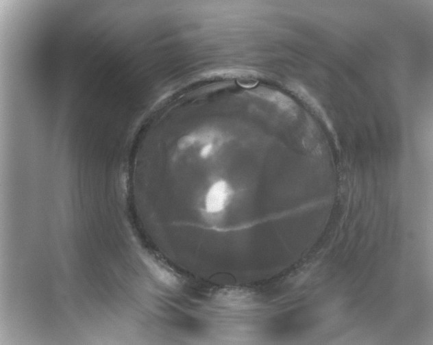 X0000068770063200605121712