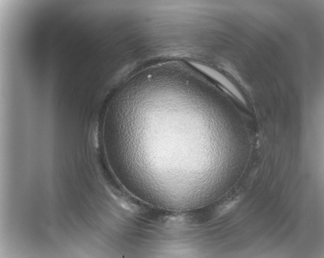 X0000068770068200605121712