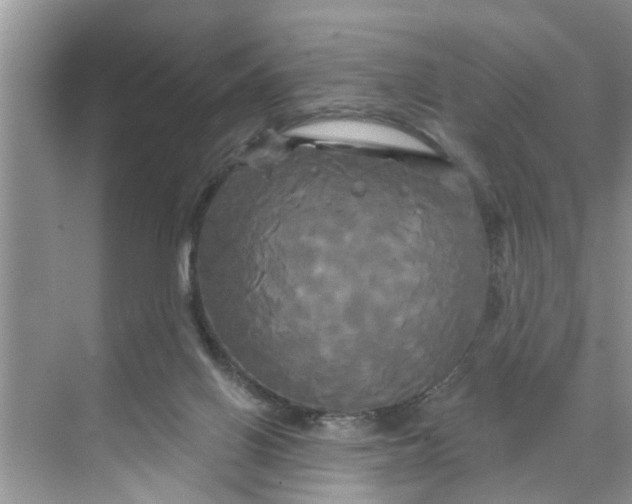 X0000068770070200605121712