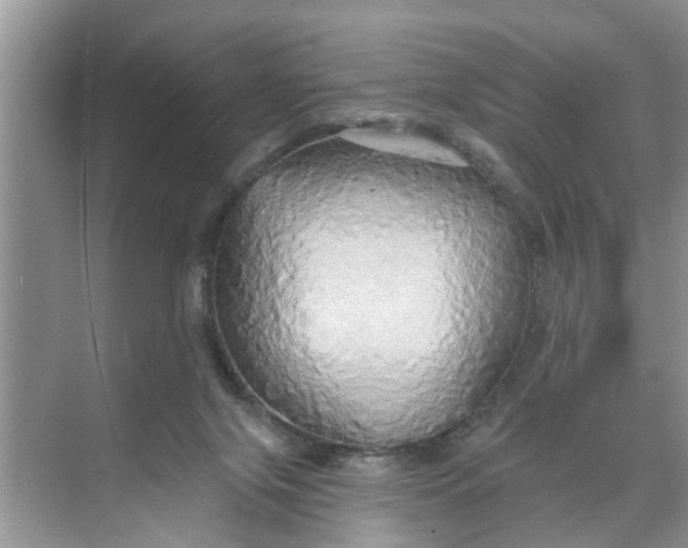 X0000068770071200605121712