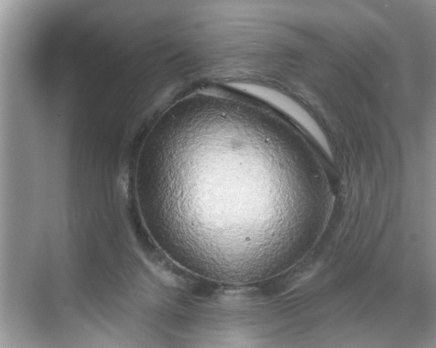 X0000068770072200605121712