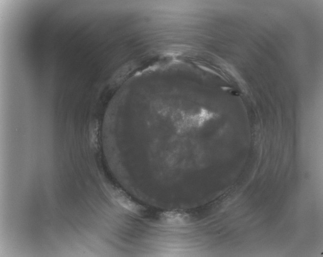 X0000068770073200605121712