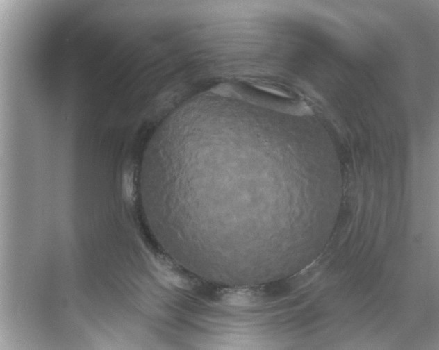 X0000068770074200605121712