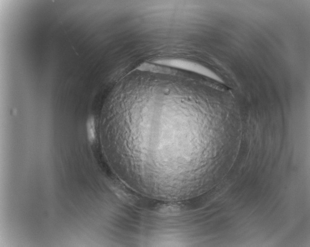 X0000068770075200605121712