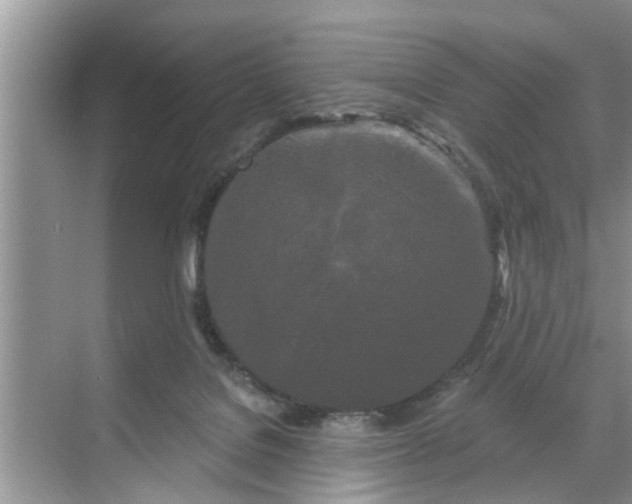 X0000068770076200605121712