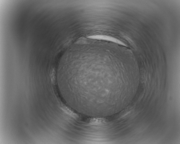 X0000068770077200605121712