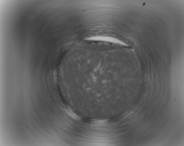 X0000068770081200605121713