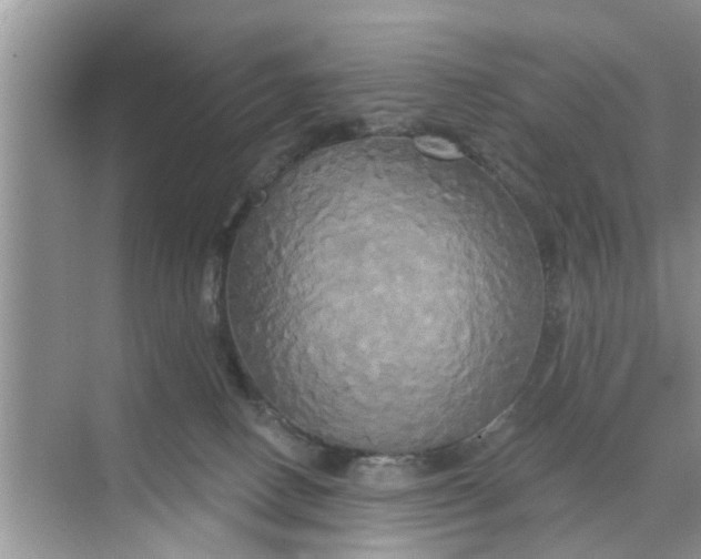 X0000068770082200605121713