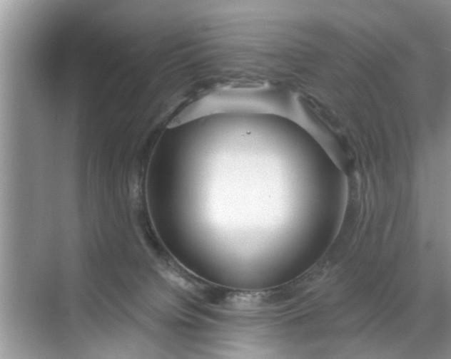 X0000068770084200605121713