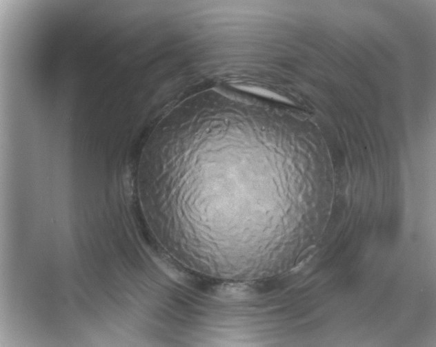 X0000068770086200605121713