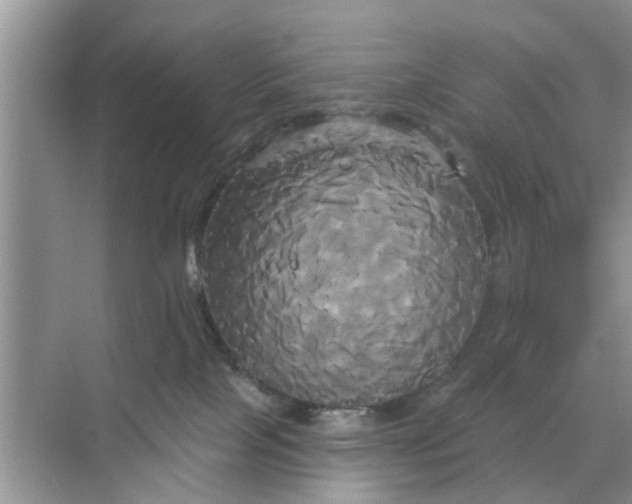 X0000068770089200605121713