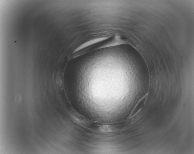 X0000068770091200605121713