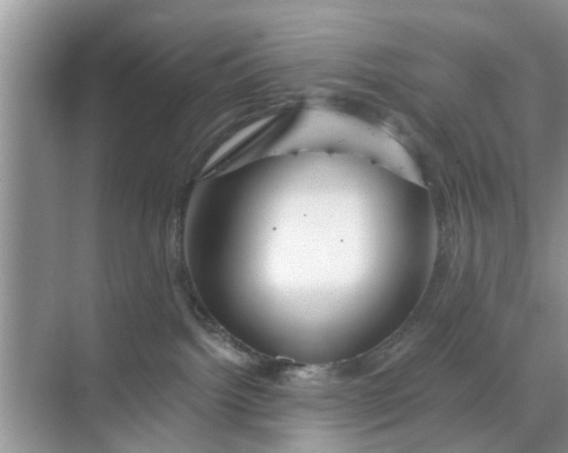 X0000068770092200605121713