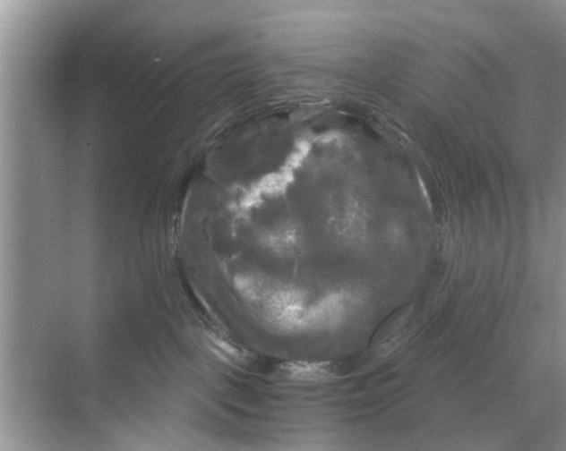 X0000068770093200605121713