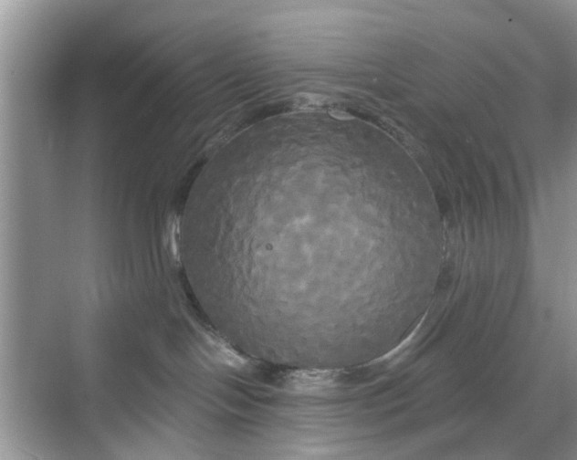 X0000068770094200605121713