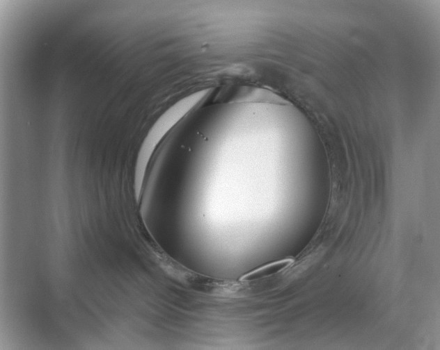 X0000068770096200605121713