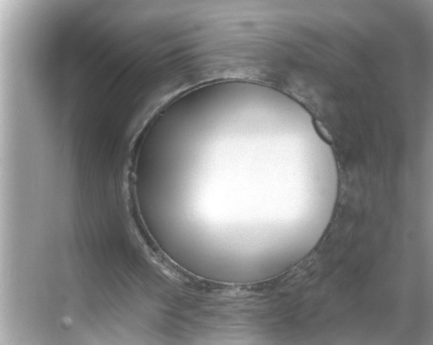 X0000068770098200605121712