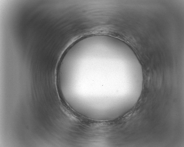 X0000068770100200605121712