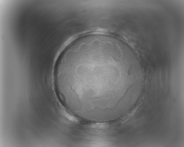 X0000068770102200605121712