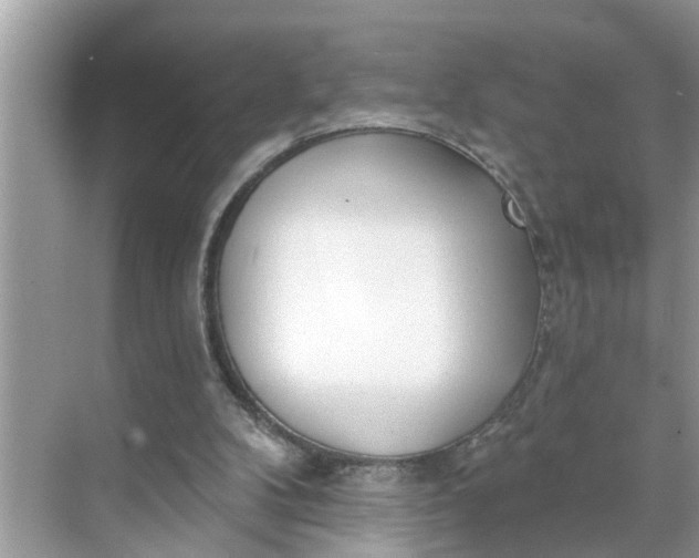 X0000068770104200605121712