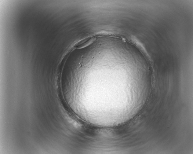 X0000068770106200605121712