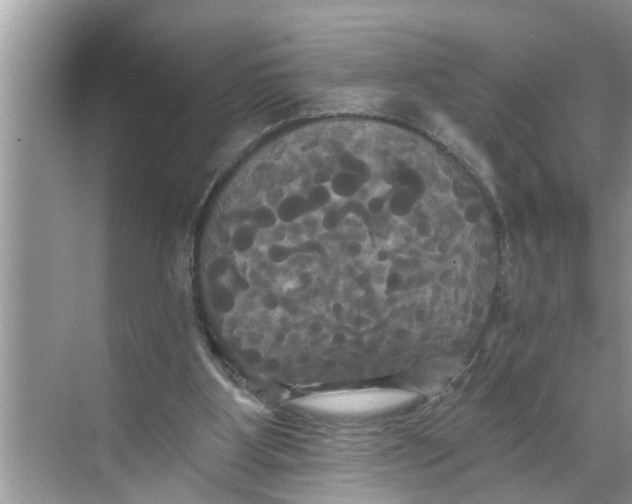 X0000068770107200605121712