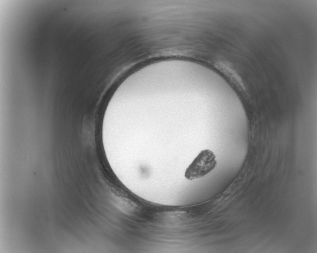 X0000068770108200605121712