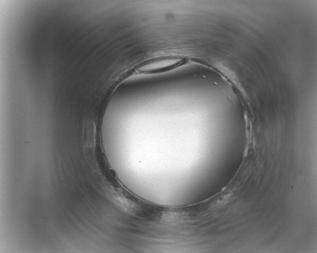 X0000068770109200605121712