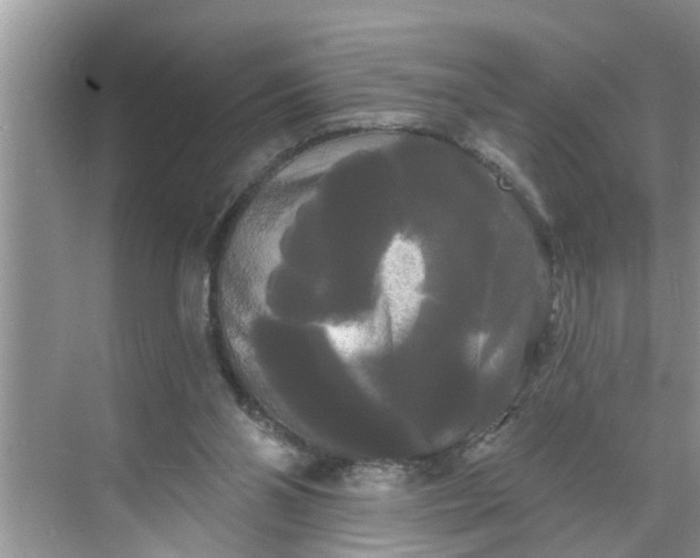 X0000068770110200605121712