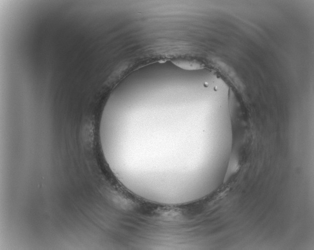 X0000068770113200605121712