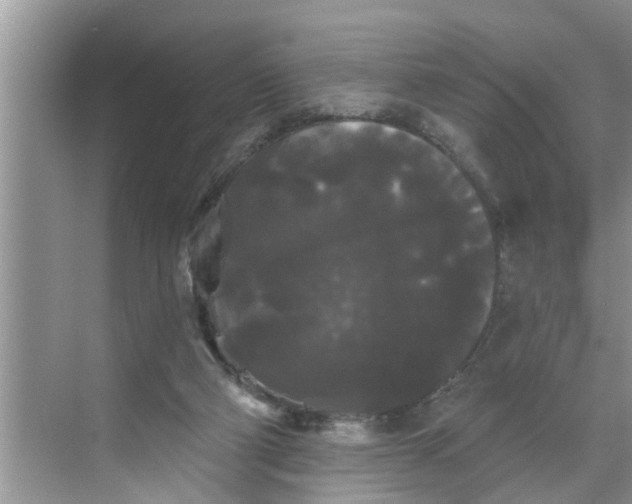 X0000068770114200605121712