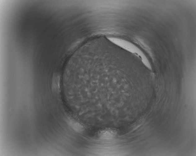 X0000068770115200605121712