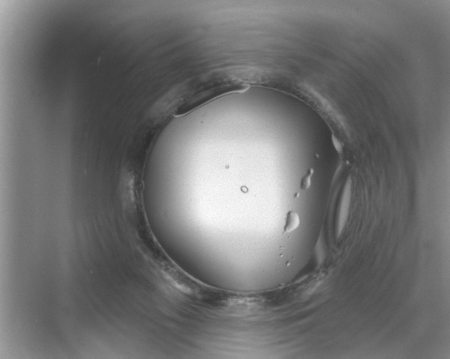 X0000068770117200605121712