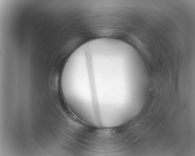 X0000068770118200605121712