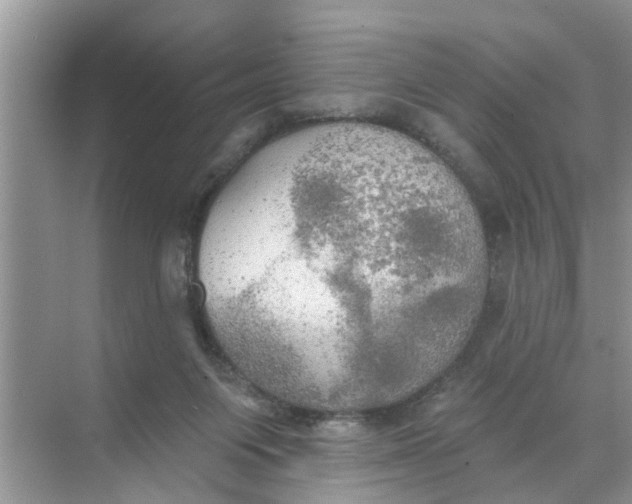 X0000068770119200605121712