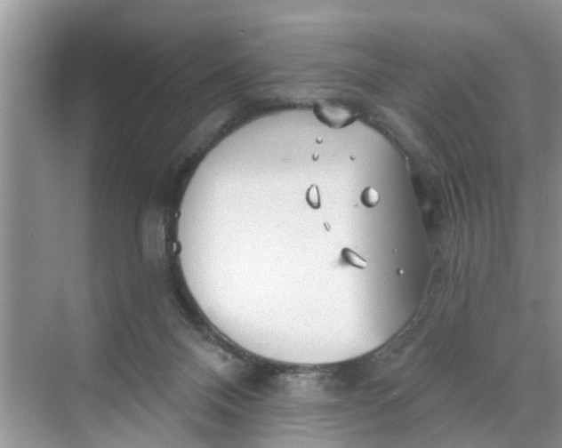 X0000068770120200605121712