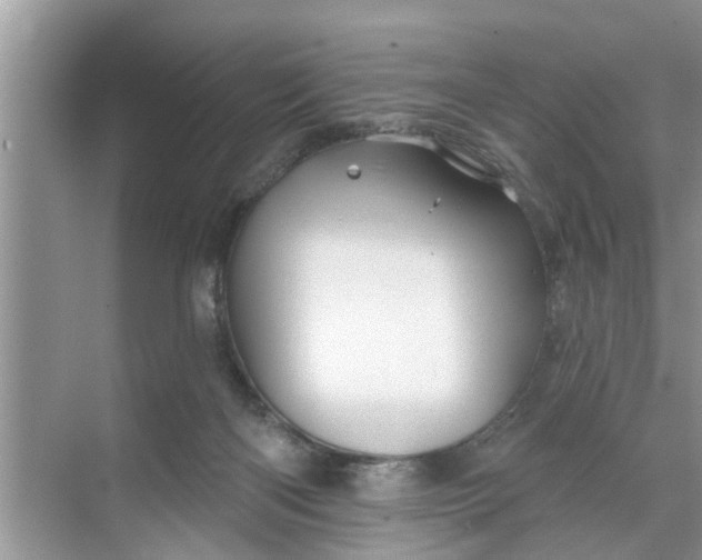 X0000068770122200605121712