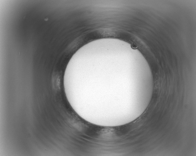 X0000068770124200605121711