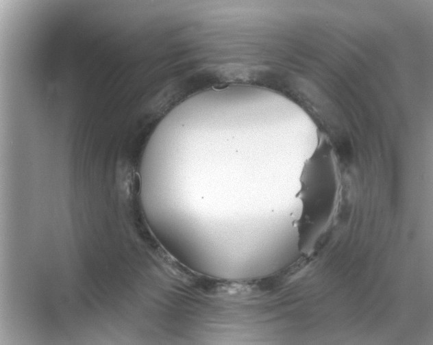 X0000068770125200605121711