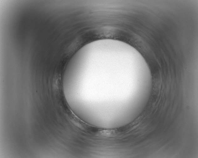 X0000068770126200605121711