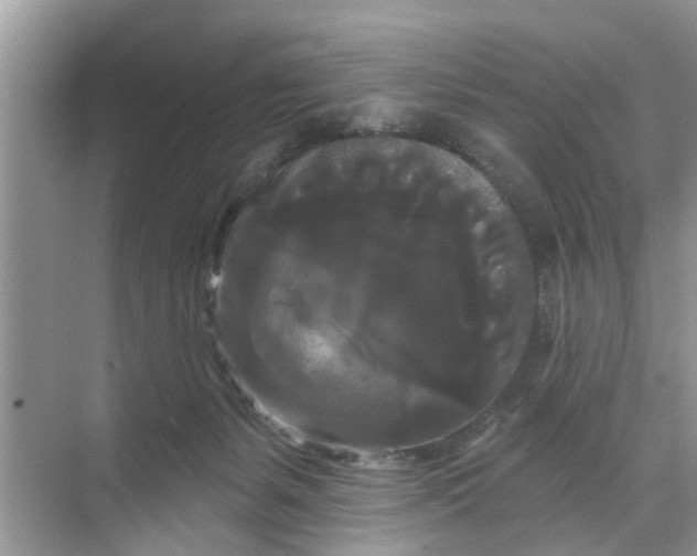 X0000068770127200605121711