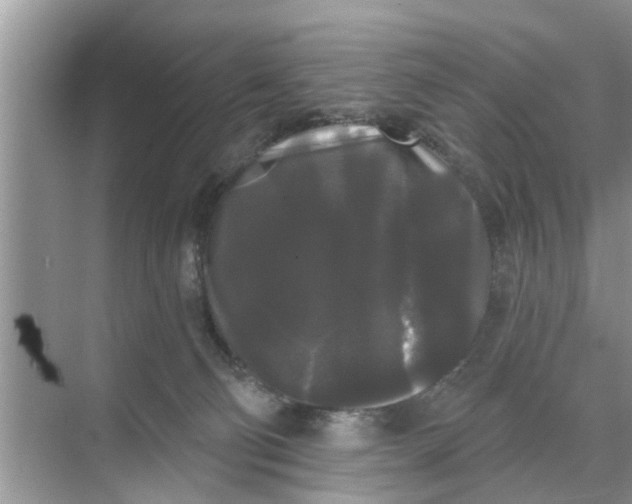 X0000068770130200605121711