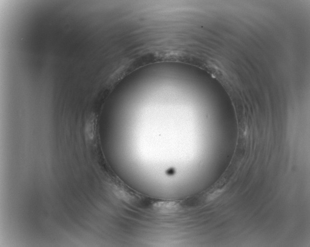 X0000068770133200605121711