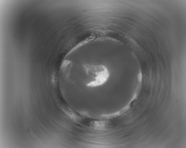 X0000068770134200605121711