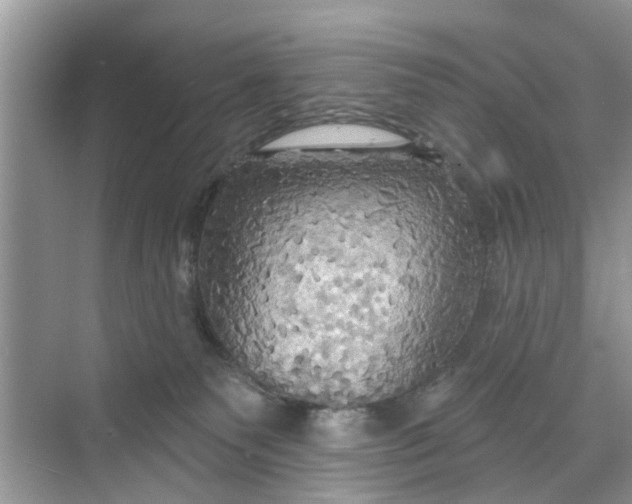 X0000068770135200605121711